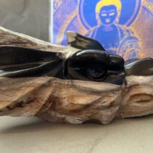 Versteend Hout - Uluru Moederdrakin XL 22 (17x10x8 cm - 1354 gr): ZE VERTEGENWOORDIGT HET OER GEHEUGEN VAN DE LEMURIA  STAMOUDSTEN