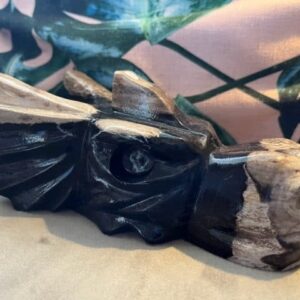 Versteend Hout - Uluru Moederdrakin XL 24 (17x10x8 cm - 1212 gr): ZE VERTEGENWOORDIGT HET OER GEHEUGEN VAN DE LEMURIA  STAMOUDSTEN