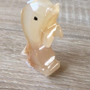 Aragoniet - Dolfijn 23