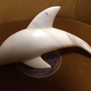 Aragoniet LeMUria Dolfijn - liggend XL 3  wit