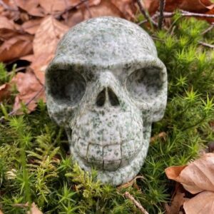 Boomagaat Skull 1: 10 cm