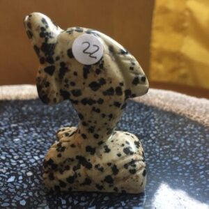 Dalmatiër Jaspis Dolfijn 1