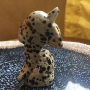 Dalmatiër Jaspis Dolfijn 2