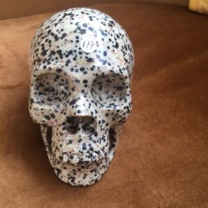 Dalmatiër Jaspis Skull L 6