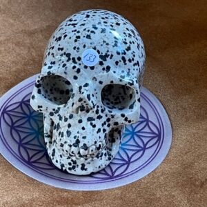 Dalmatiër Jaspis Skull L 9