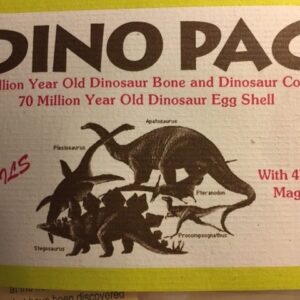 Fossiel Dinosaurus pakketje: 20x12 cm - Utah V.S.