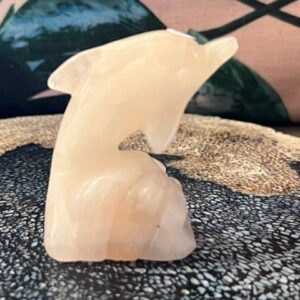 Rozenkwarts Dolfijn 2