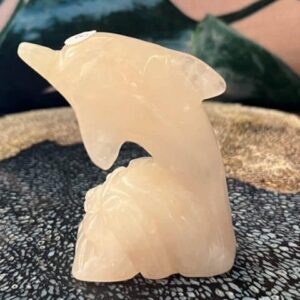 Rozenkwarts Dolfijn 1