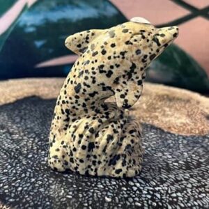 Dalmatiër Jaspis Dolfijn 4