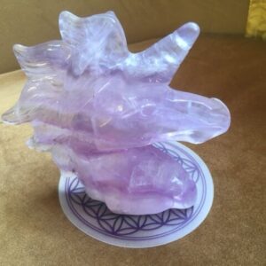 Fluoriet Eenhoorn - Met de LeMUria Trilling uit Nieuw-Zeeland