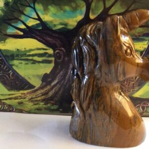 Tijgeroog - Eenhoorn - Unicorn