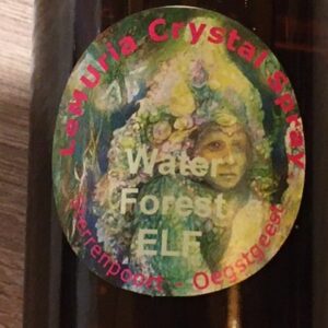 Water Forest ELF Crystal Spray - Holy Spray voor Lichtwerkers: 100 ml + MP3