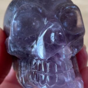 Fluoriet Skull L1 - Paars Violet