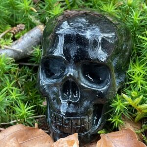 Zwart Goud Obsidiaan LeMUria Skull 4 = 7 cm: Zeta Reticuli