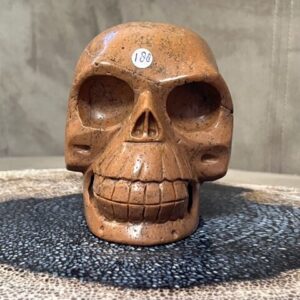 Versteend Hout Skull 12: Vertegenwoordigt het Oer geheugen van LeMUria via het ULURU NET VAN LICHT