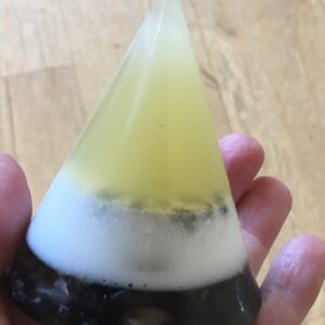 12) MAAG MERIDIAAN - Sterrenbeeld BOOGSCHUTTER-JUPITER: Klank Piramide + Soulfeggio 999 Hz Sound Healing MP3 12: 25.32 min