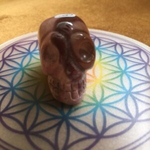 Mokaïet / Mookaïet / Australisch Jaspis Alien MINI Skull nr 10 - Databank voor Moederliefde!