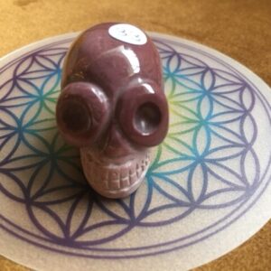 Mokaïet / Mookaïet / Australisch Jaspis Alien MINI Skull nr 14 - Databank voor Moederliefde!