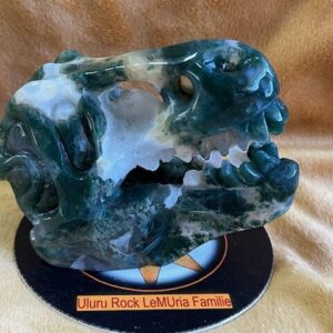 Mos / Boomagaat ULURU Dinosaurus Skull = 10,5 x 6 x 7.5 cm - 265 gram - Bevrijder van Oerangst