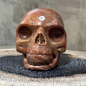 Versteend Hout Skull 10: Vertegenwoordigt het Oer geheugen van LeMUria via het ULURU NET VAN LICHT