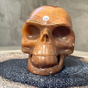 Versteend Hout Skull 13: Vertegenwoordigt het Oer geheugen van LeMUria via het ULURU NET VAN LICHT