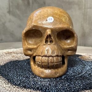 Versteend Hout Skull 14: Vertegenwoordigt het Oer geheugen van LeMUria via het ULURU NET VAN LICHT