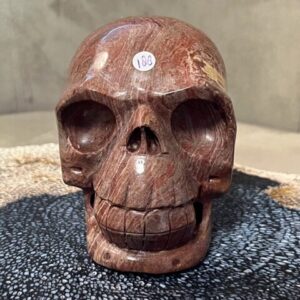 Versteend Hout Skull 15: Vertegenwoordigt het Oer geheugen van LeMUria via het ULURU NET VAN LICHT