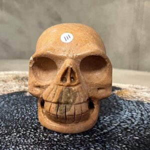 Versteend Hout Skull 7: Vertegenwoordigt het Oer geheugen van LeMUria via het ULURU NET VAN LICHT