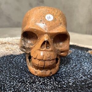 Versteend Hout Skull 8: Vertegenwoordigt het Oer geheugen van LeMUria via het ULURU NET VAN LICHT