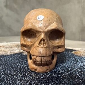 Versteend Hout Skull 9: Vertegenwoordigt het Oer geheugen van LeMUria via het ULURU NET VAN LICHT