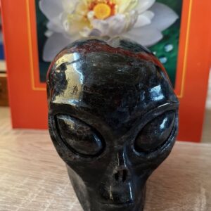 Arfedsoniet - Starseed - Alien Starchild: LeMUria Skull 2 = 9.5 x 7 x 9.5 cm (lxbrxh) - 1.2 kg