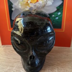 Arfedsoniet - Starseed - Alien Starchild: LeMUria Skull 3 = 9.5 x 7 x 9.5 cm (lxbrxh) - 1.2 kg