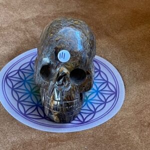 Tijgerijzer Skull 1 - uit Australië