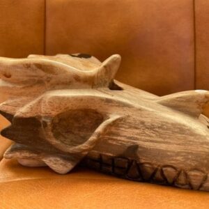 Versteend Hout - Uluru Moederdrakin XL 13 (16.5x10x9 cm - 1648 gr): ZE VERTEGENWOORDIGT HET OER GEHEUGEN VAN DE LEMURIA  STAMOUDSTEN