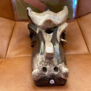 Versteend Hout - Uluru Moederdrakin XL 20 (16x10x8 cm - 1441 gr): ZE VERTEGENWOORDIGT HET OER GEHEUGEN VAN DE LEMURIA  STAMOUDSTEN