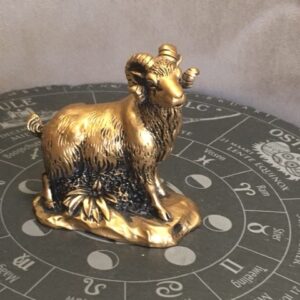 GEIT / SCHAAP - 8e Zodiac Sterrenbeeld Dierenriem Teken