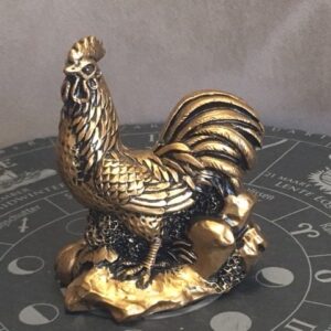 HAAN - 10e Zodiac Sterrenbeeld Dierenriem Teken