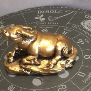 OS - 2e Zodiac Sterrenbeeld Dierenriem Teken