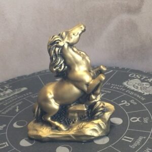 PAARD - 7e Zodiac Sterrenbeeld Dierenriem Teken