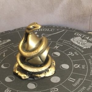 SLANG - 6e Zodiac Sterrenbeeld Dierenriem Teken