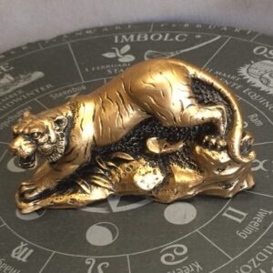 TIJGER - 3e Zodiac Sterrenbeeld Dierenriem Teken