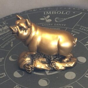 VARKEN - 12e Zodiac Sterrenbeeld Dierenriem Teken