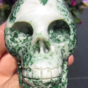 Boomagaat Skull 2: 7,5 cm