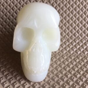 Sneeuwkwarts - Melkkwarts Skull - Gouden LeMUria Maria trilling