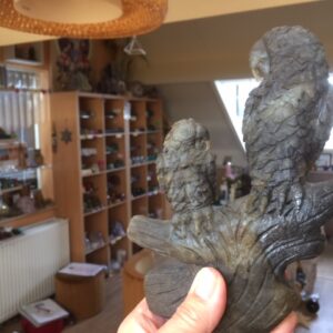 Labradoriet Papegaaien Tweeling: 17x12x4 cm - 748 gr = Maori Natuur Spirit 'Kea' van Bezieling & Wedergeboorte
