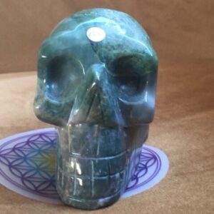 Mosagaat Skull 2 L - Verbonden aan Elfjes & Natuurwezens = 10 x 5 x 7.5 cm - 635 gram