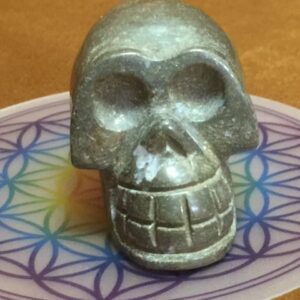 Pyriet Skull 16 - In contact met Inheemse Indianen