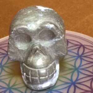 Pyriet Skull 7 - In contact met Inheemse Indianen