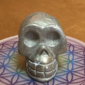 Pyriet Skull 9 - In contact met Inheemse Indianen