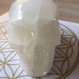 Seleniet wit Skull XL 11 - Met Zilver-Gouden Moeder Maria frequentie